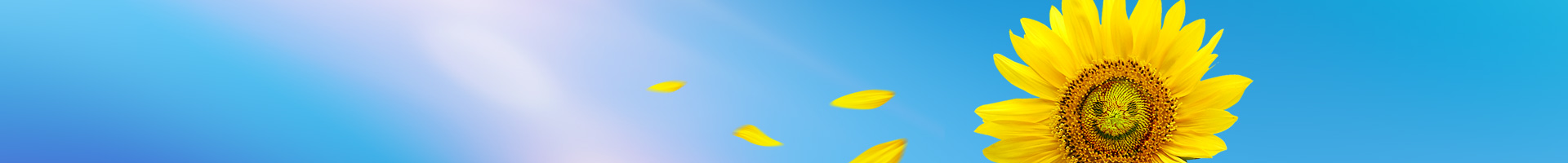 1907639377000202240