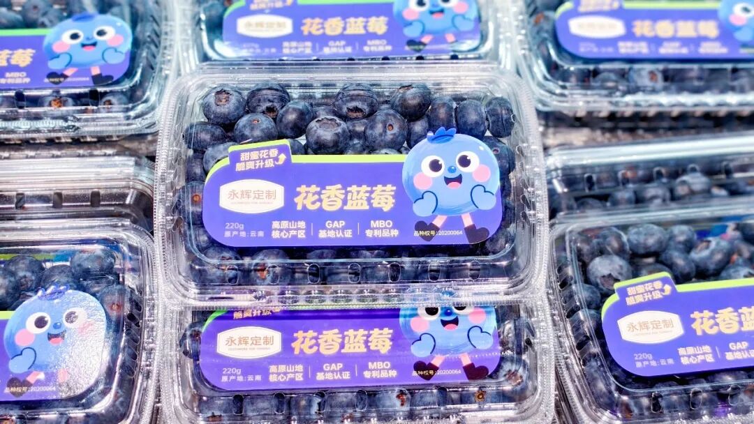 2029031920201633792 尊龙凯时(中国区)人生就是搏!