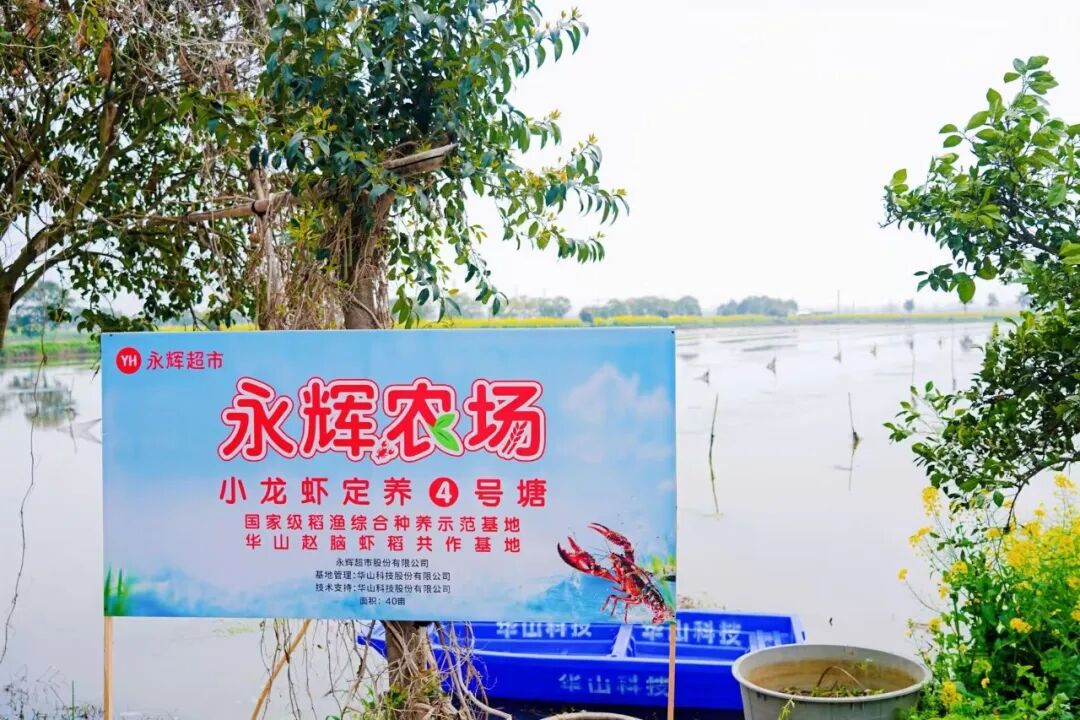 2052637927691522048 尊龙凯时(中国区)人生就是搏!