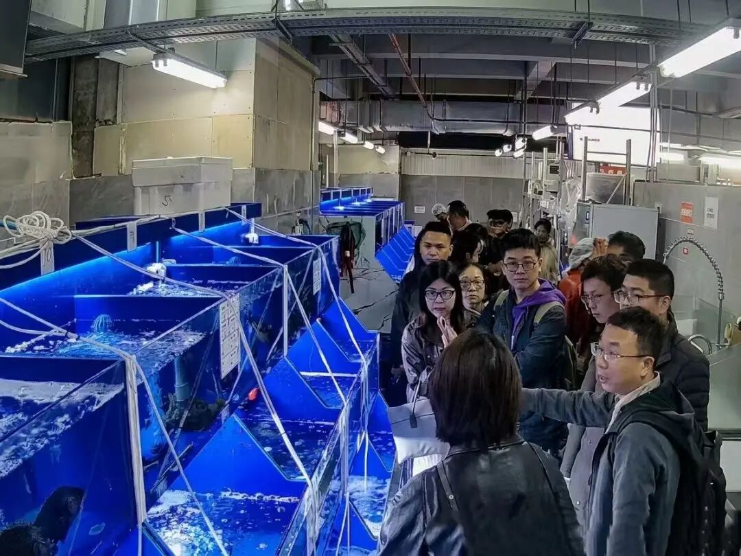 尊龙凯时(中国区)人生就是搏!