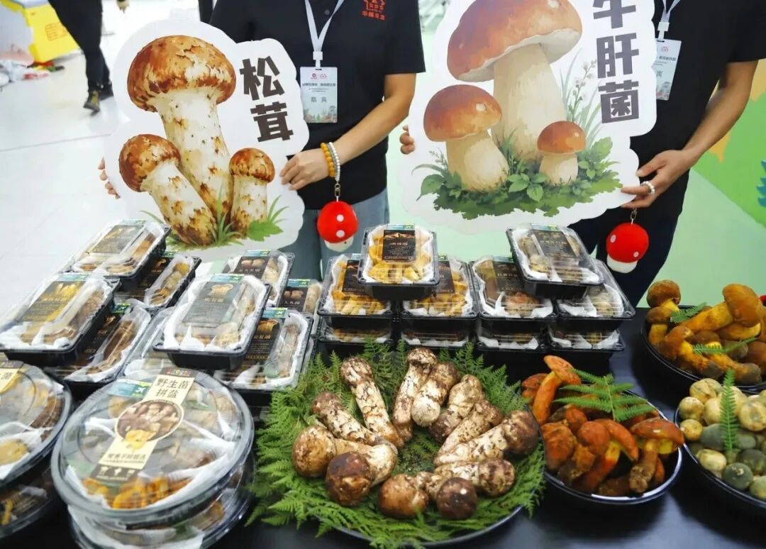尊龙凯时(中国区)人生就是搏!