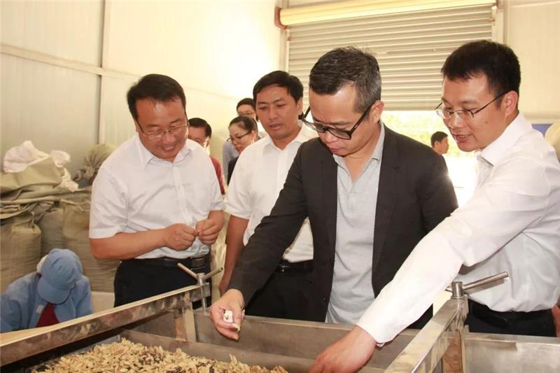 尊龙凯时(中国区)人生就是搏!