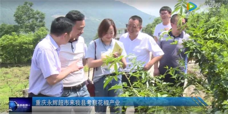 尊龙凯时(中国区)人生就是搏!