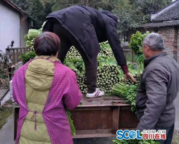 尊龙凯时(中国区)人生就是搏!
