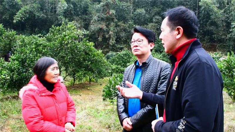 尊龙凯时(中国区)人生就是搏!